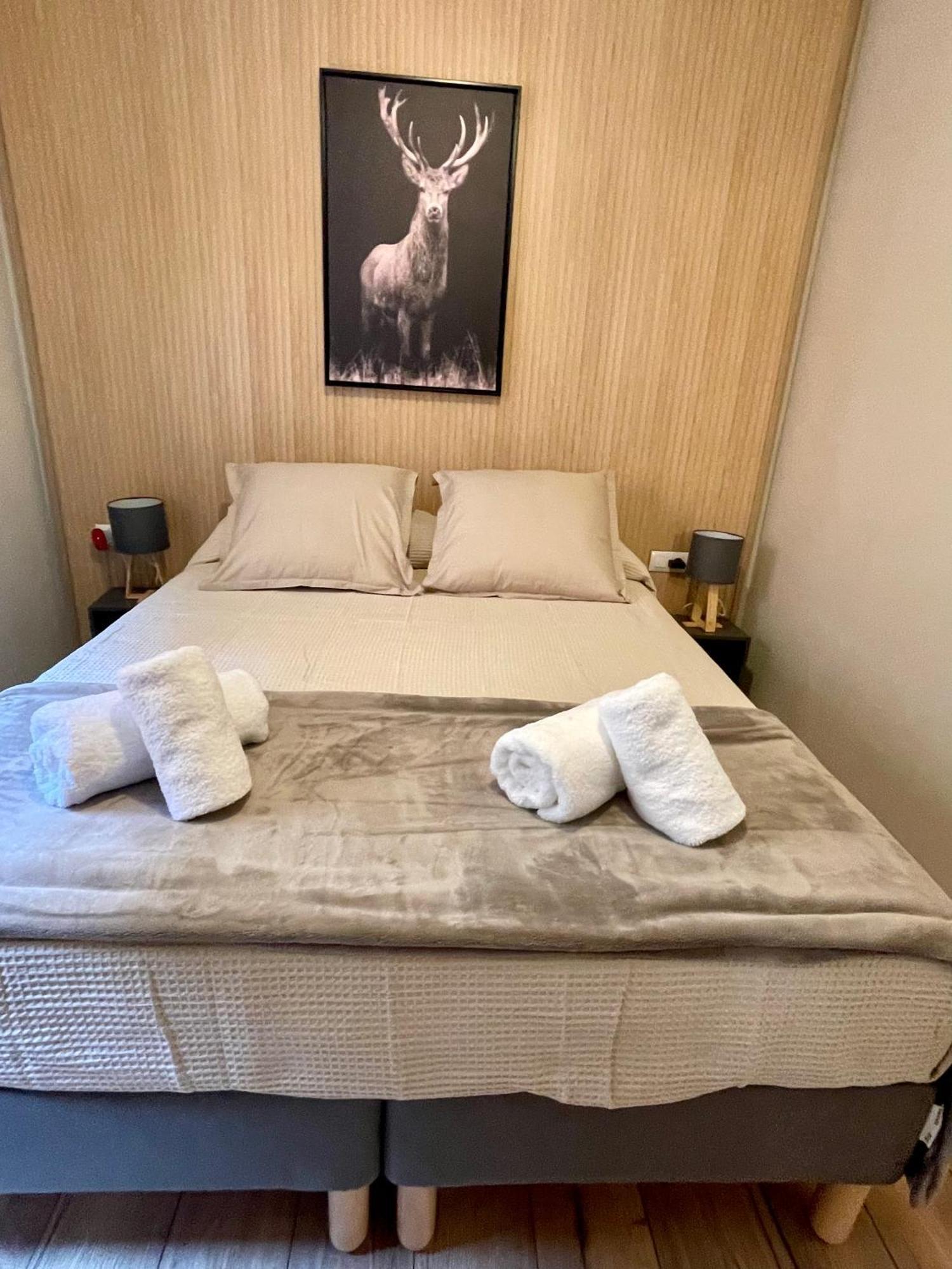Cal Querol 1 - Centre Apartment Puigcerdà Екстериор снимка