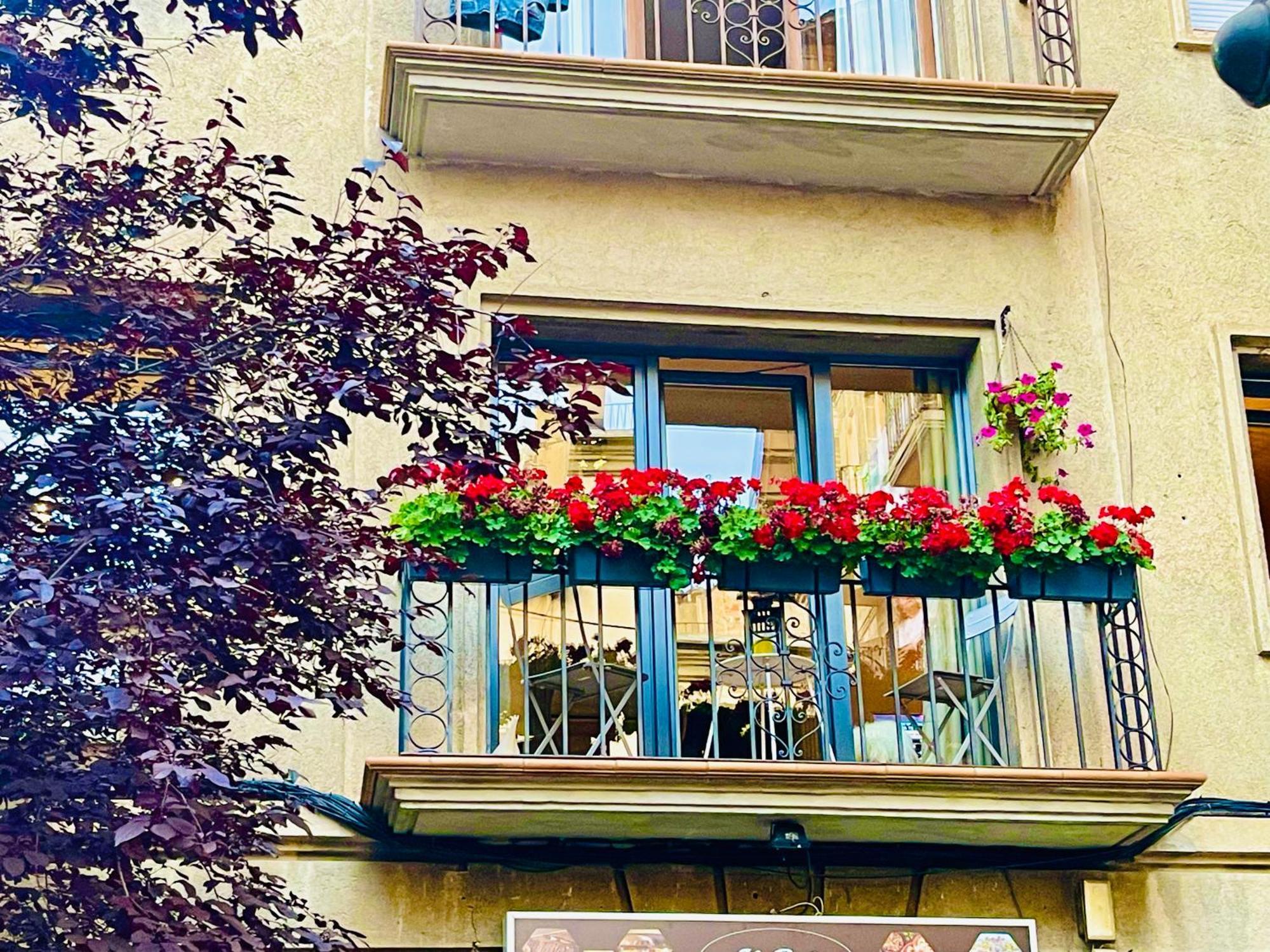 Cal Querol 1 - Centre Apartment Puigcerdà Екстериор снимка